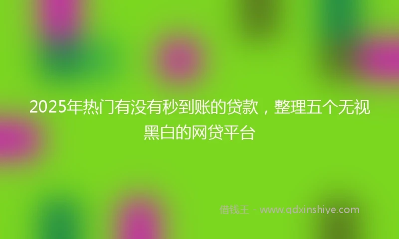 2025年热门有没有秒到账的贷款，整理五个无视黑白的网贷平台
