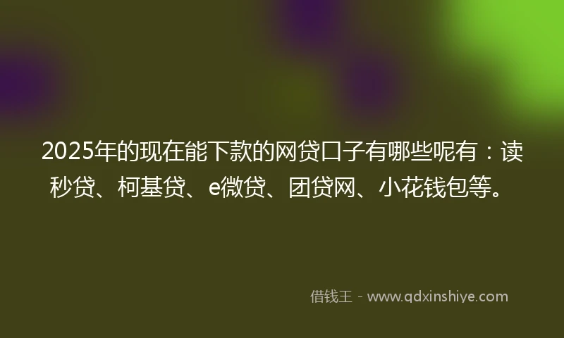 2025年的现在能下款的网贷口子有哪些呢有：读秒贷、柯基贷、e微贷、团贷网、小花钱包等。