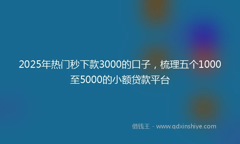 2025年热门秒下款3000的口子，梳理五个1000至5000的小额贷款平台