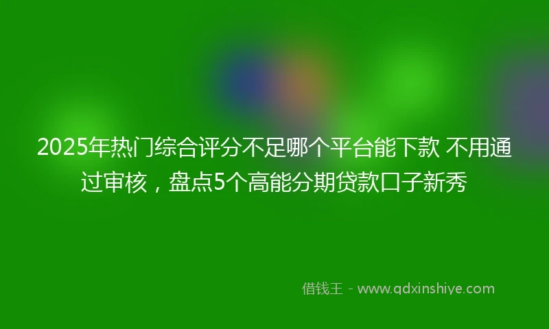 2025年热门综合评分不足哪个平台能下款 不用通过审核，盘点5个高能分期贷款口子新秀