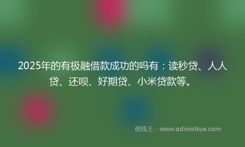2025年的有极融借款成功的吗有：读秒贷、人人贷、还呗、好期贷、小米贷款等。