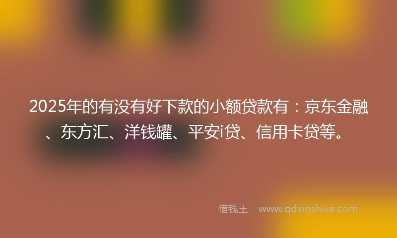 2025年的有没有好下款的小额贷款有：京东金融、东方汇、洋钱罐、平安i贷、信用卡贷等。