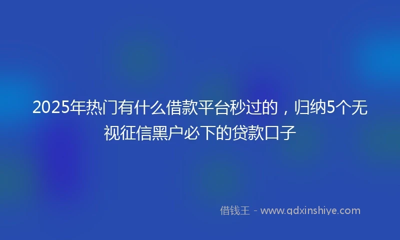 2025年热门有什么借款平台秒过的，归纳5个无视征信黑户必下的贷款口子