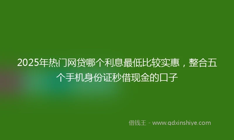 2025年热门网贷哪个利息最低比较实惠，整合五个手机身份证秒借现金的口子