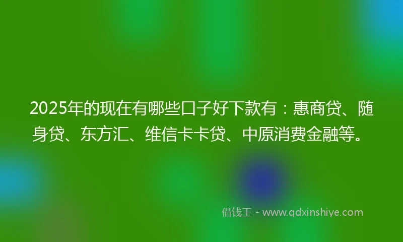 2025年的现在有哪些口子好下款有：惠商贷、随身贷、东方汇、维信卡卡贷、中原消费金融等。