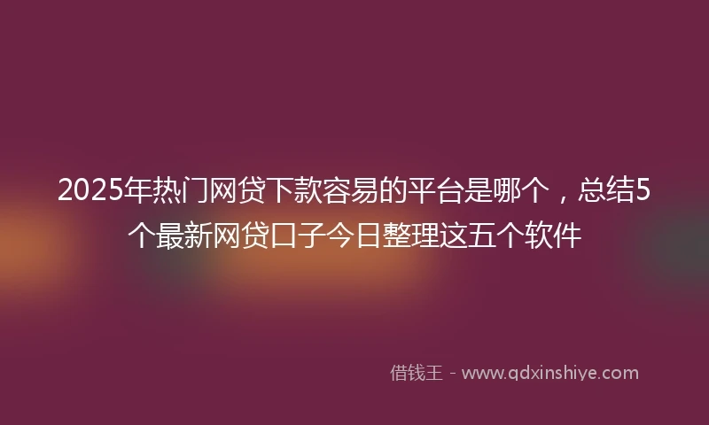 2025年热门网贷下款容易的平台是哪个，总结5个最新网贷口子今日整理这五个软件