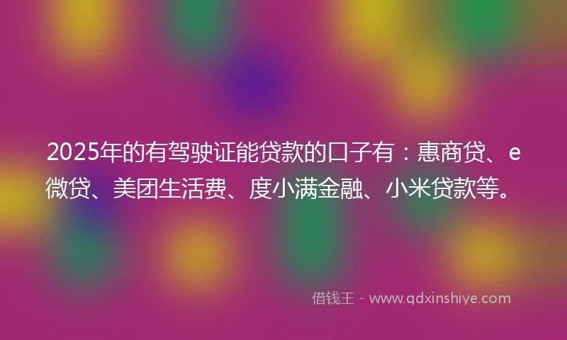 2025年的有驾驶证能贷款的口子有：惠商贷、e微贷、美团生活费、度小满金融、小米贷款等。