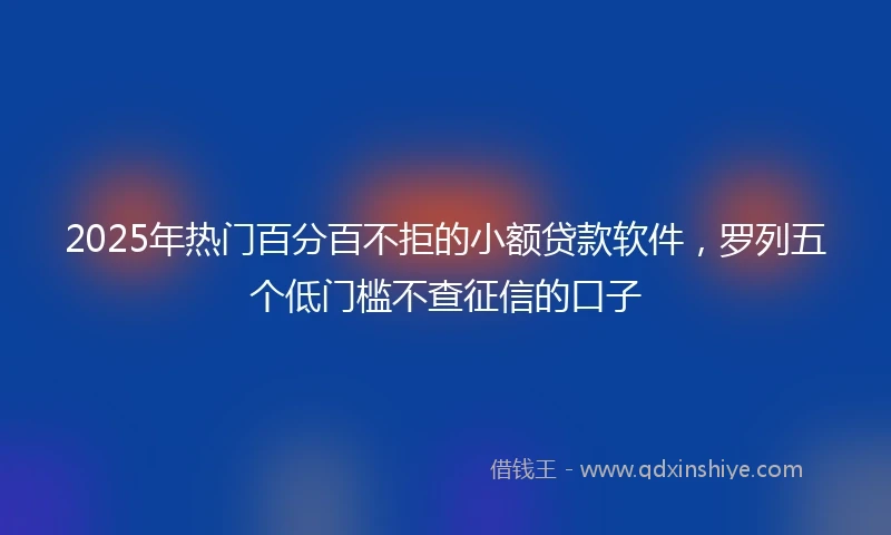 2025年热门百分百不拒的小额贷款软件，罗列五个低门槛不查征信的口子