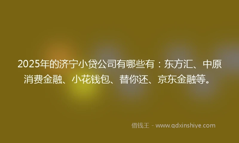2025年的济宁小贷公司有哪些有：东方汇、中原消费金融、小花钱包、替你还、京东金融等。