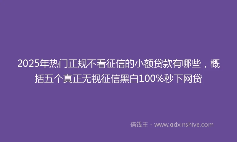 2025年热门正规不看征信的小额贷款有哪些，概括五个真正无视征信黑白100%秒下网贷