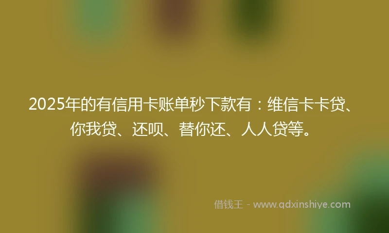 2025年的有信用卡账单秒下款有：维信卡卡贷、你我贷、还呗、替你还、人人贷等。