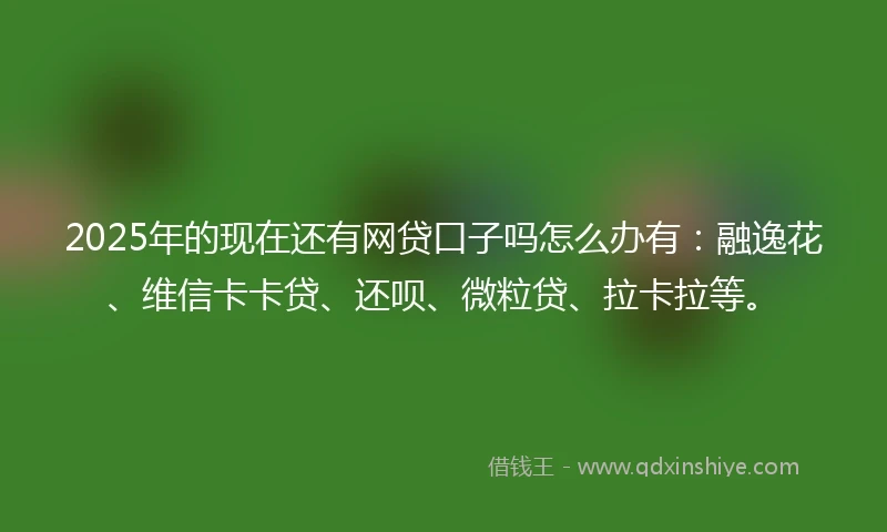 2025年的现在还有网贷口子吗怎么办有：融逸花、维信卡卡贷、还呗、微粒贷、拉卡拉等。