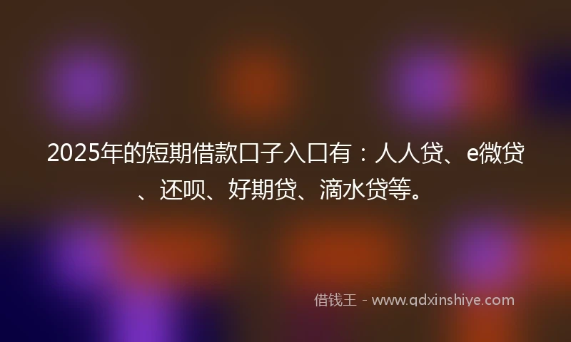 2025年的短期借款口子入口有：人人贷、e微贷、还呗、好期贷、滴水贷等。