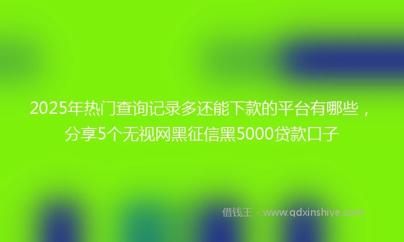 2025年热门查询记录多还能下款的平台有哪些，分享5个无视网黑征信黑5000贷款口子
