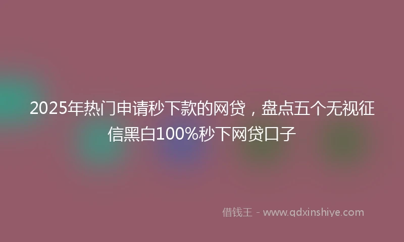2025年热门申请秒下款的网贷，盘点五个无视征信黑白100%秒下网贷口子