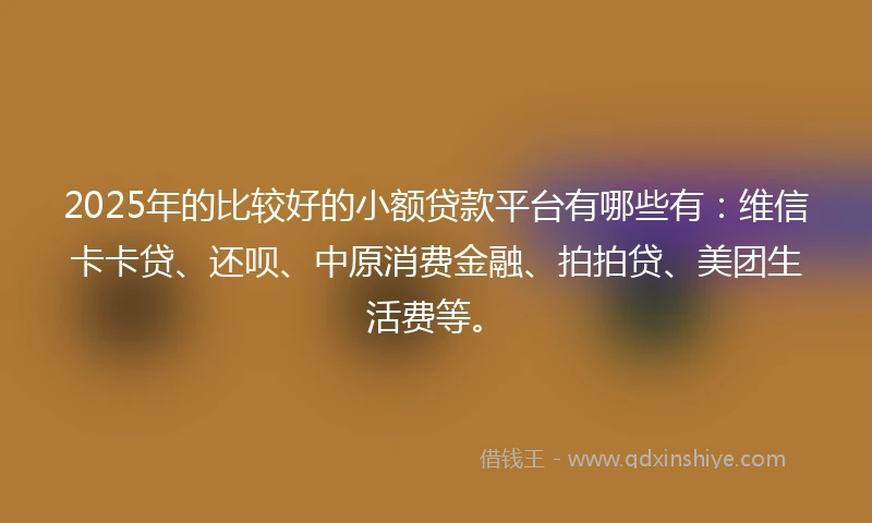 2025年的比较好的小额贷款平台有哪些有：维信卡卡贷、还呗、中原消费金融、拍拍贷、美团生活费等。