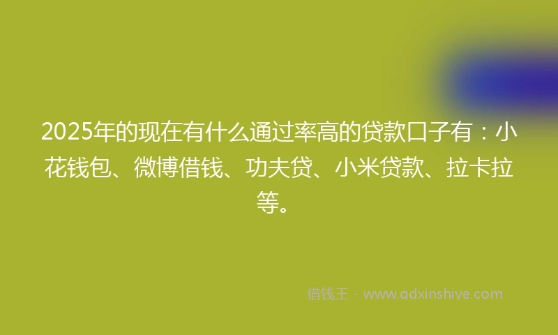2025年的现在有什么通过率高的贷款口子有：小花钱包、微博借钱、功夫贷、小米贷款、拉卡拉等。