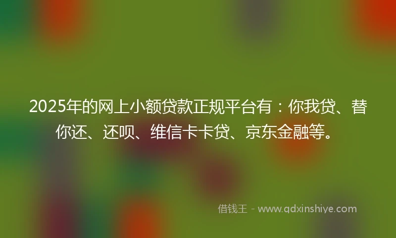 2025年的网上小额贷款正规平台有：你我贷、替你还、还呗、维信卡卡贷、京东金融等。