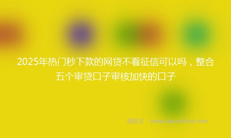 2025年热门秒下款的网贷不看征信可以吗，整合五个审贷口子审核加快的口子