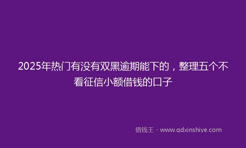 2025年热门有没有双黑逾期能下的，整理五个不看征信小额借钱的口子