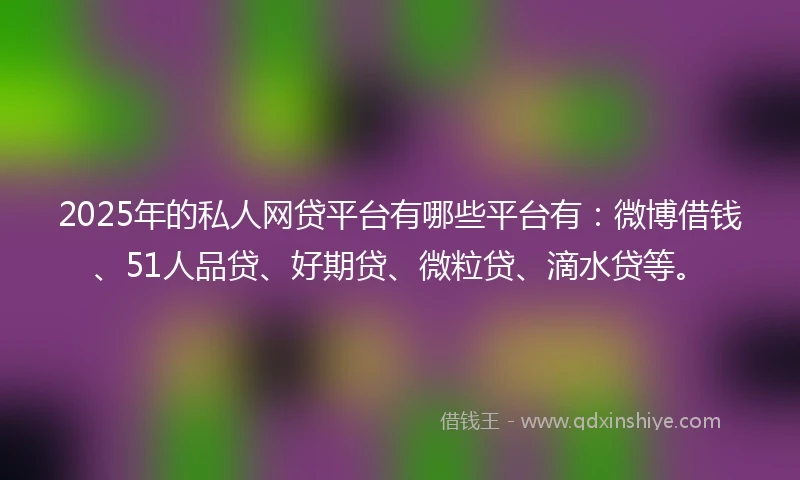 2025年的私人网贷平台有哪些平台有：微博借钱、51人品贷、好期贷、微粒贷、滴水贷等。