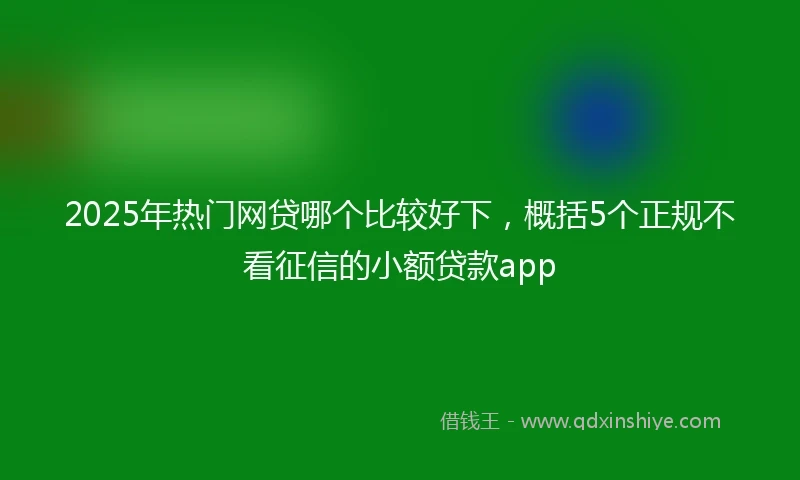 2025年热门网贷哪个比较好下，概括5个正规不看征信的小额贷款app