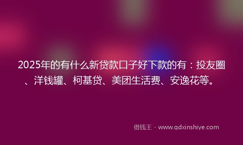2025年的有什么新贷款口子好下款的有：投友圈、洋钱罐、柯基贷、美团生活费、安逸花等。