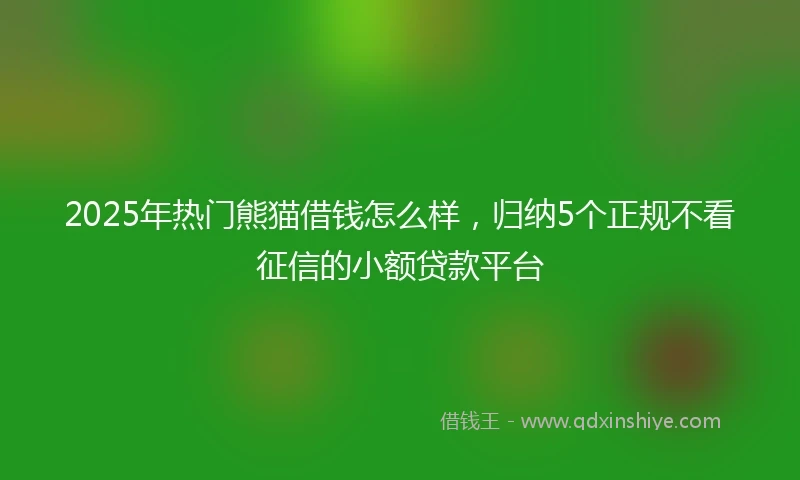 2025年热门熊猫借钱怎么样，归纳5个正规不看征信的小额贷款平台