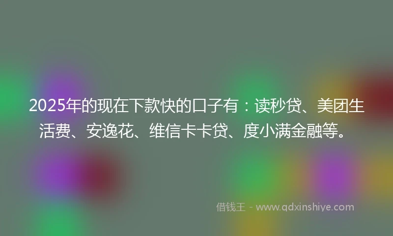 2025年的现在下款快的口子有：读秒贷、美团生活费、安逸花、维信卡卡贷、度小满金融等。