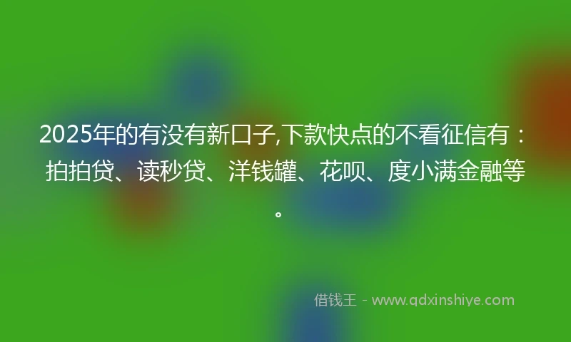 2025年的有没有新口子,下款快点的不看征信有：拍拍贷、读秒贷、洋钱罐、花呗、度小满金融等。