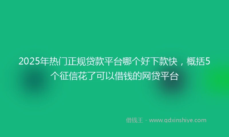 2025年热门正规贷款平台哪个好下款快，概括5个征信花了可以借钱的网贷平台
