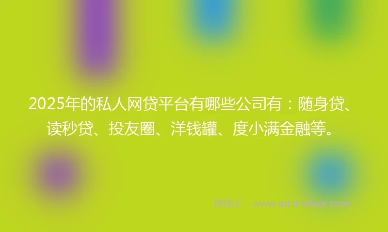 2025年的私人网贷平台有哪些公司有：随身贷、读秒贷、投友圈、洋钱罐、度小满金融等。