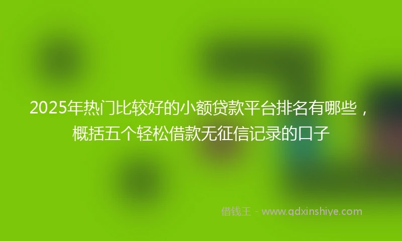 2025年热门比较好的小额贷款平台排名有哪些，概括五个轻松借款无征信记录的口子