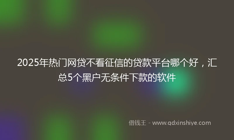 2025年热门网贷不看征信的贷款平台哪个好，汇总5个黑户无条件下款的软件