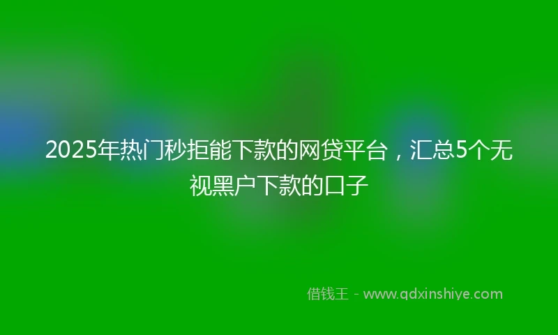 2025年热门秒拒能下款的网贷平台，汇总5个无视黑户下款的口子