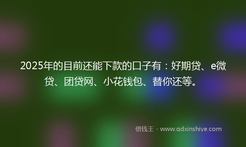 2025年的目前还能下款的口子有：好期贷、e微贷、团贷网、小花钱包、替你还等。
