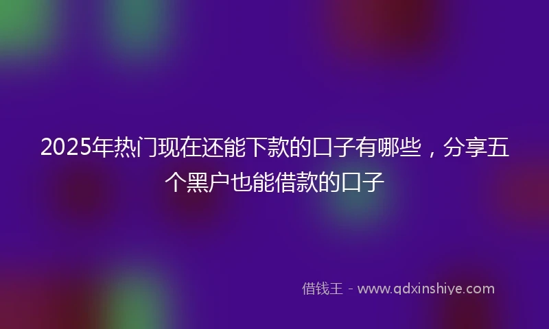 2025年热门现在还能下款的口子有哪些，分享五个黑户也能借款的口子