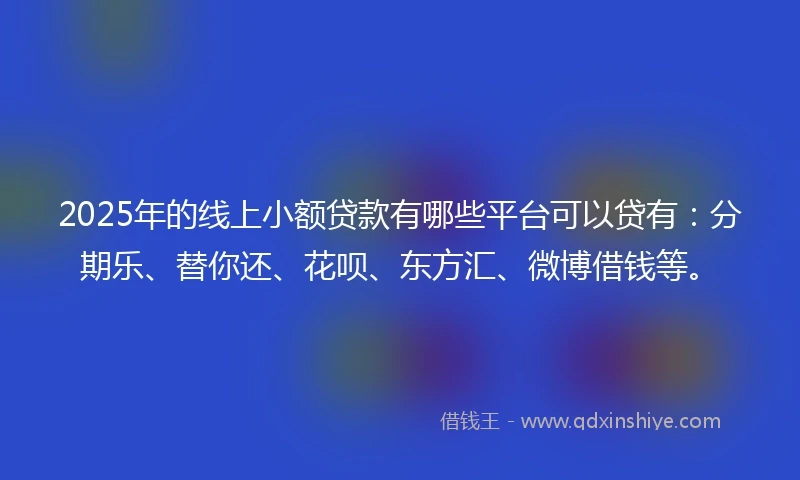 2025年的线上小额贷款有哪些平台可以贷有：分期乐、替你还、花呗、东方汇、微博借钱等。