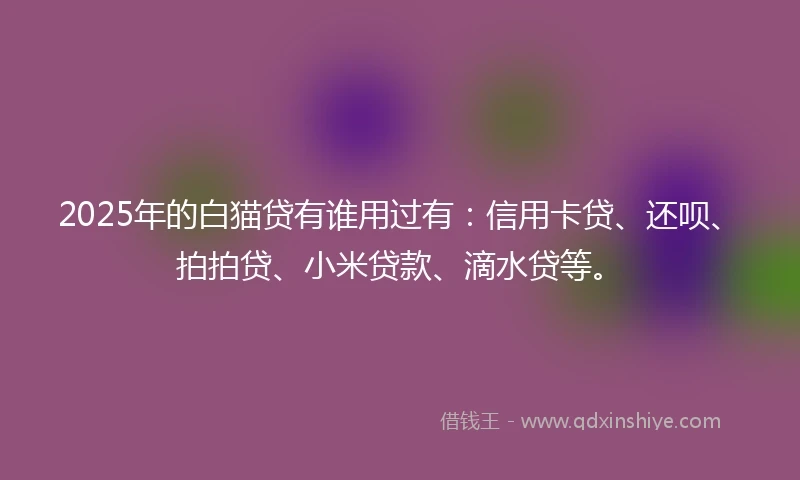 2025年的白猫贷有谁用过有：信用卡贷、还呗、拍拍贷、小米贷款、滴水贷等。