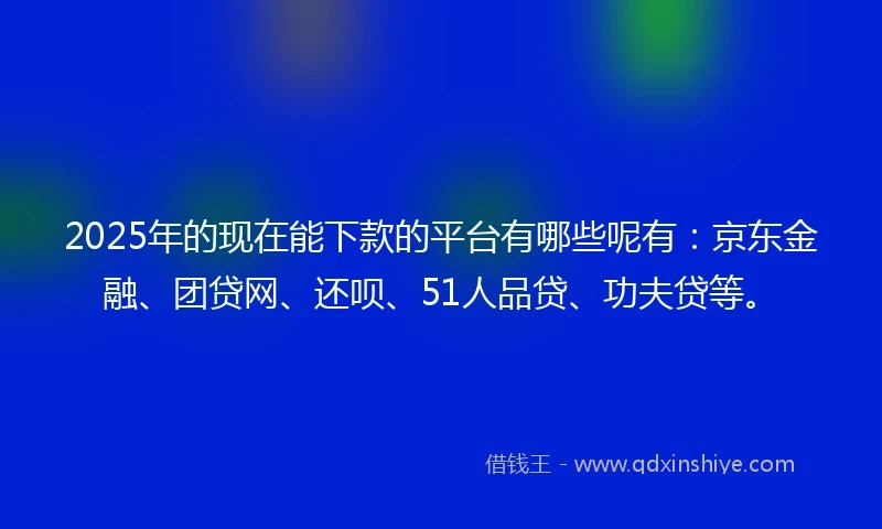 2025年的现在能下款的平台有哪些呢有：京东金融、团贷网、还呗、51人品贷、功夫贷等。