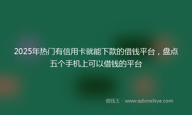 2025年热门有信用卡就能下款的借钱平台，盘点五个手机上可以借钱的平台