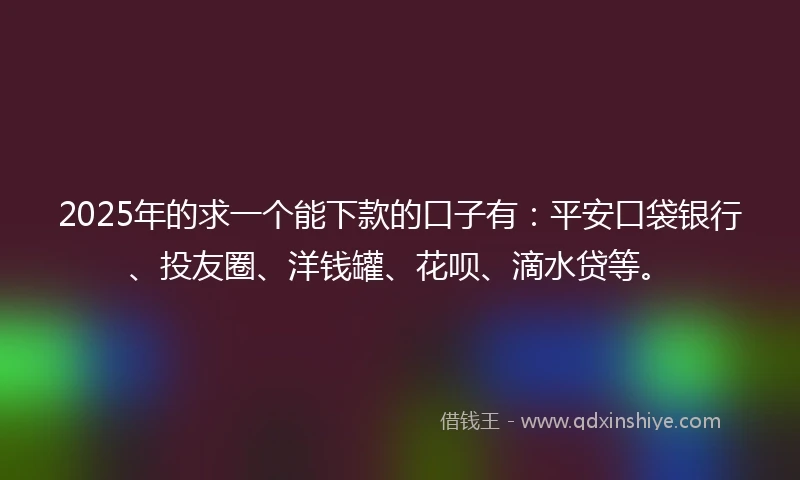 2025年的求一个能下款的口子有：平安口袋银行、投友圈、洋钱罐、花呗、滴水贷等。