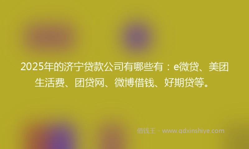 2025年的济宁贷款公司有哪些有：e微贷、美团生活费、团贷网、微博借钱、好期贷等。