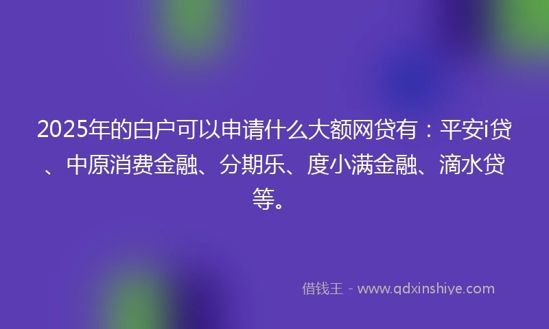 2025年的白户可以申请什么大额网贷有：平安i贷、中原消费金融、分期乐、度小满金融、滴水贷等。