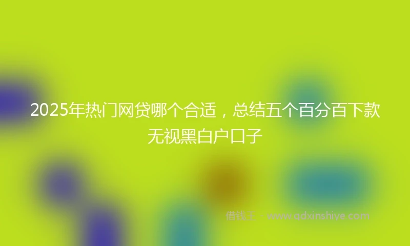 2025年热门网贷哪个合适，总结五个百分百下款无视黑白户口子