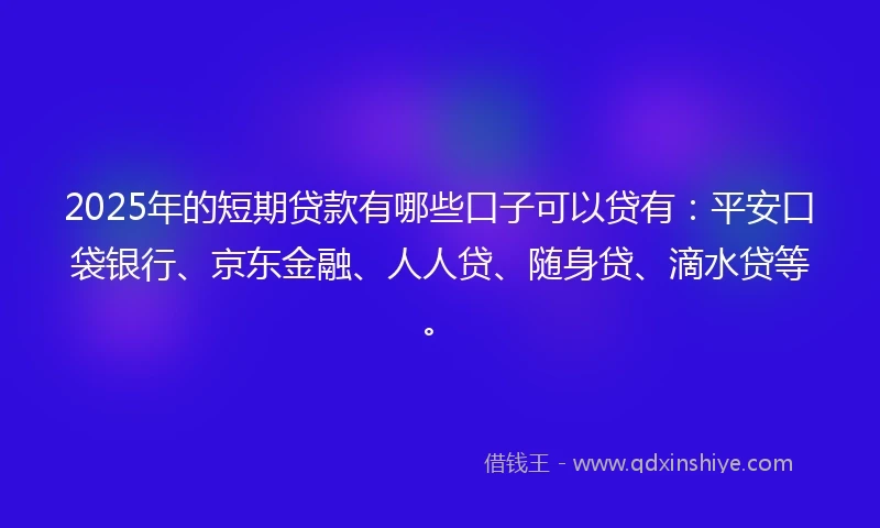 2025年的短期贷款有哪些口子可以贷有：平安口袋银行、京东金融、人人贷、随身贷、滴水贷等。