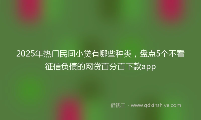 2025年热门民间小贷有哪些种类，盘点5个不看征信负债的网贷百分百下款app