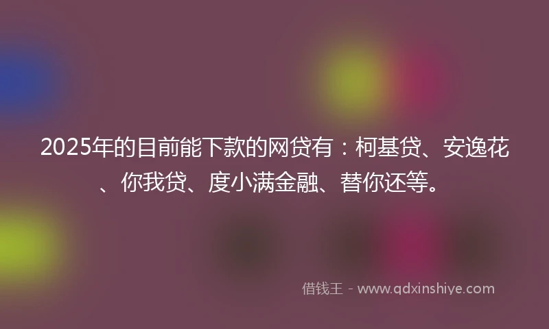 2025年的目前能下款的网贷有：柯基贷、安逸花、你我贷、度小满金融、替你还等。