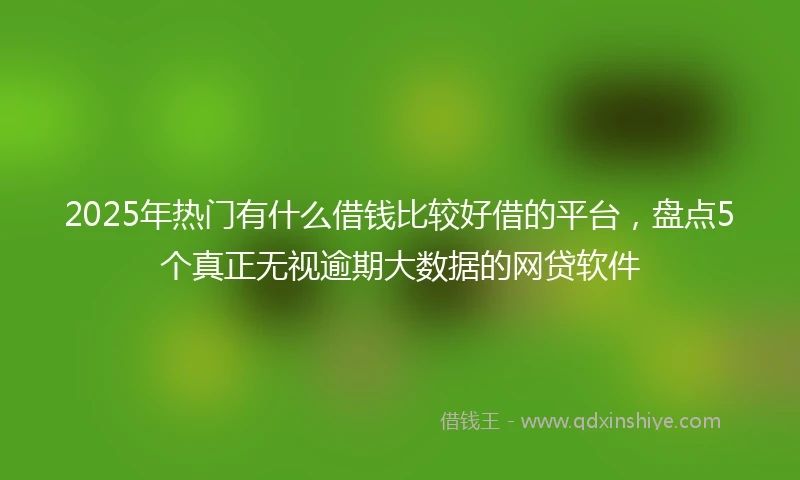 2025年热门有什么借钱比较好借的平台，盘点5个真正无视逾期大数据的网贷软件