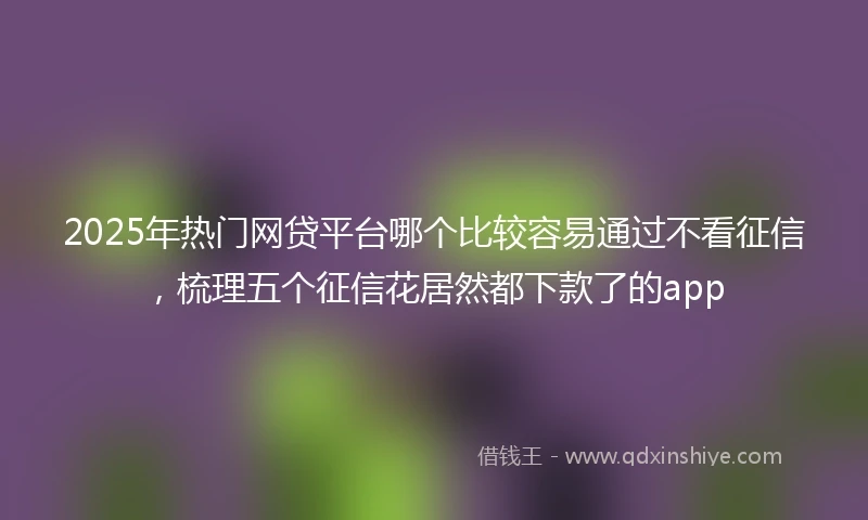 2025年热门网贷平台哪个比较容易通过不看征信，梳理五个征信花居然都下款了的app